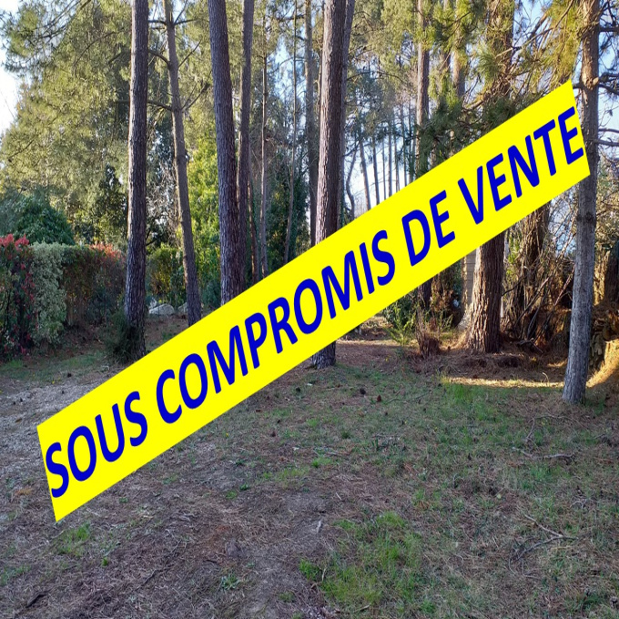 Offres de vente Terrain Carnac (56340)