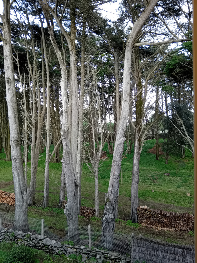 Offres de vente Studio Quiberon (56170)